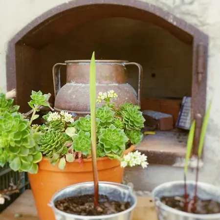 Bed and breakfast Martin's Atouguia Da Baleia