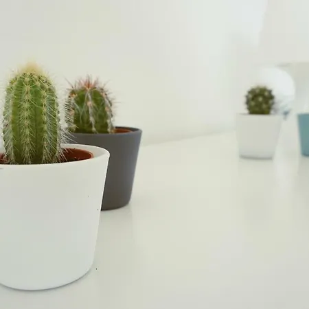 Bed & Breakfast Martin's